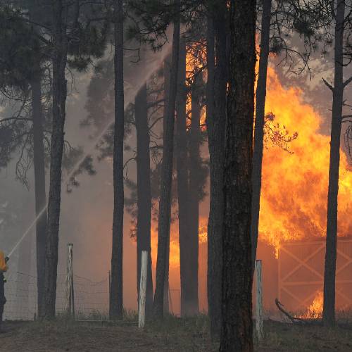 black-forest-wildfire