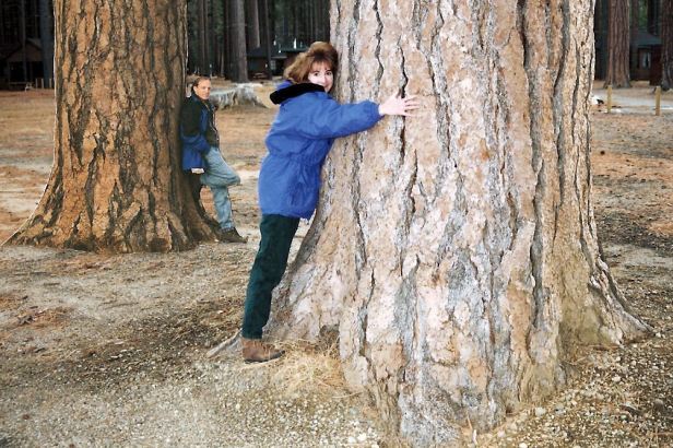 cary.bigtreees2[1].jpg